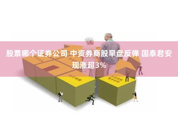 股票哪个证券公司 中资券商股早盘反弹 国泰君安现涨超3%